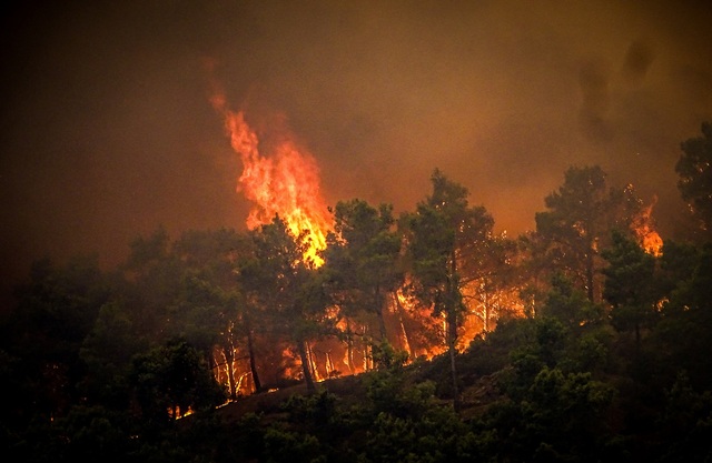 Hàng ngàn người sơ tán vì cháy rừng trên đảo Rhodes lúc nắng nóng gay gắt - Ảnh 1.