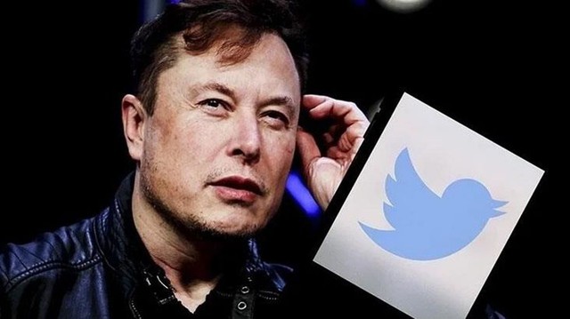 Elon Musk muốn đổi logo chú chim xanh của Twitter - Ảnh 1.