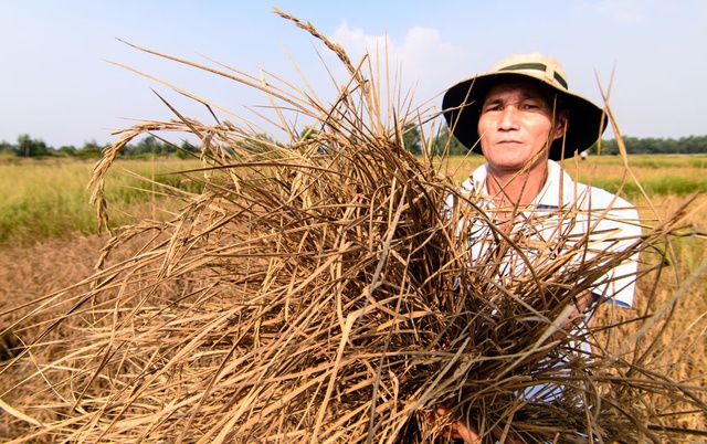 El Nino sẽ kéo dài ít nhất tới cuối tháng 4 năm 2024 - Ảnh 1.