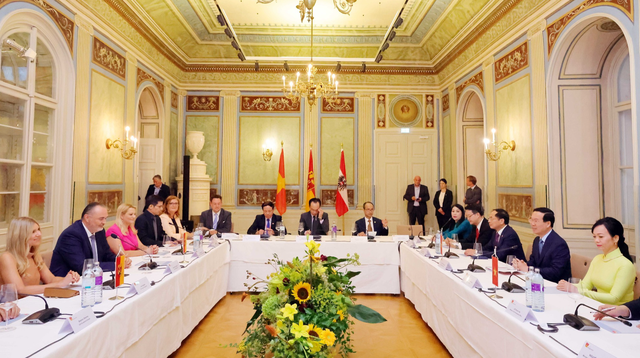 Chủ tịch nước Võ Văn Thưởng gặp Thủ hiến bang Burgenland, Áo - Ảnh 2.