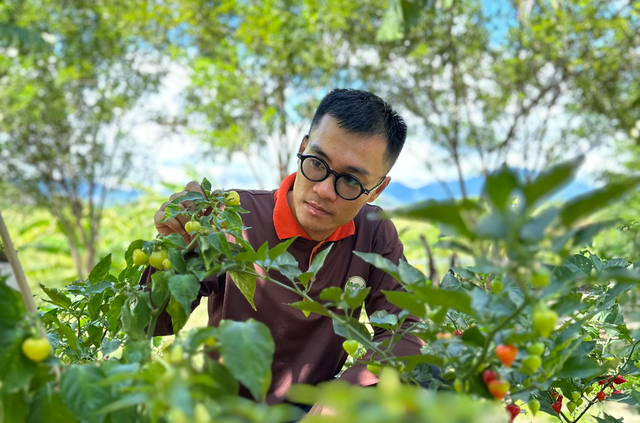Thạc sĩ bỏ việc nghìn đô khởi nghiệp trồng loại ớt cay nhất thế giới - Ảnh 4.