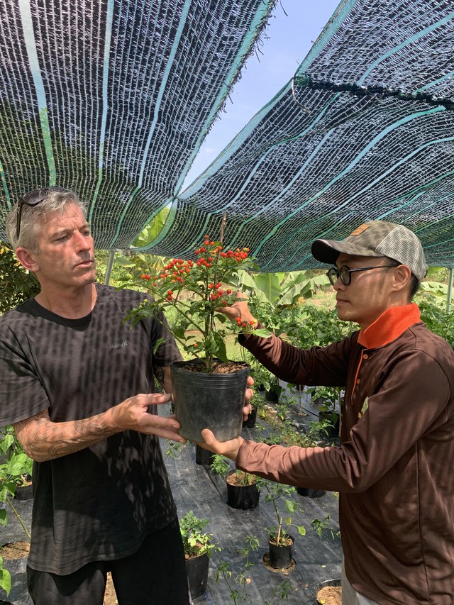 Thạc sĩ bỏ việc nghìn đô khởi nghiệp trồng loại ớt cay nhất thế giới - Ảnh 3.