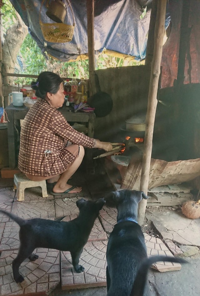 Bí mật ngôi nhà tiết kiệm điện 'có nhiều cánh cửa nhất Việt Nam' của mẹ  - Ảnh 3.