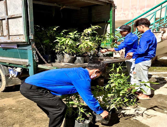 Quảng Ngãi: Phát động trồng hàng trăm cây tre tại làng thanh niên lập nghiệp - Ảnh 4.