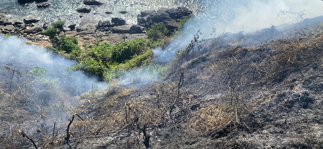 Đà Nẵng: Hơn 150 người khống chế đám cháy rừng trên đèo Hải Vân - Ảnh 1.