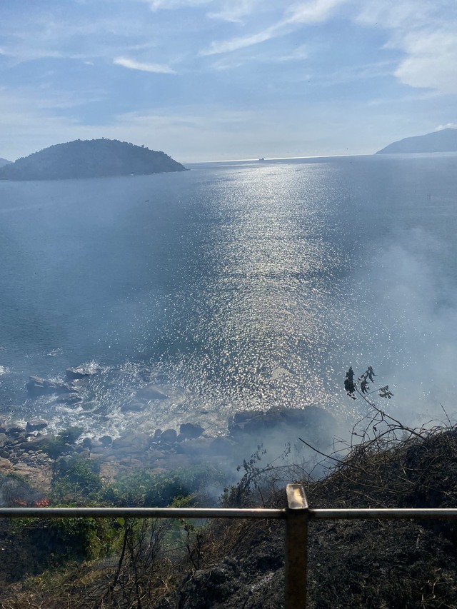 Đà Nẵng: Hơn 150 người khống chế đám cháy rừng trên đèo Hải Vân - Ảnh 2.