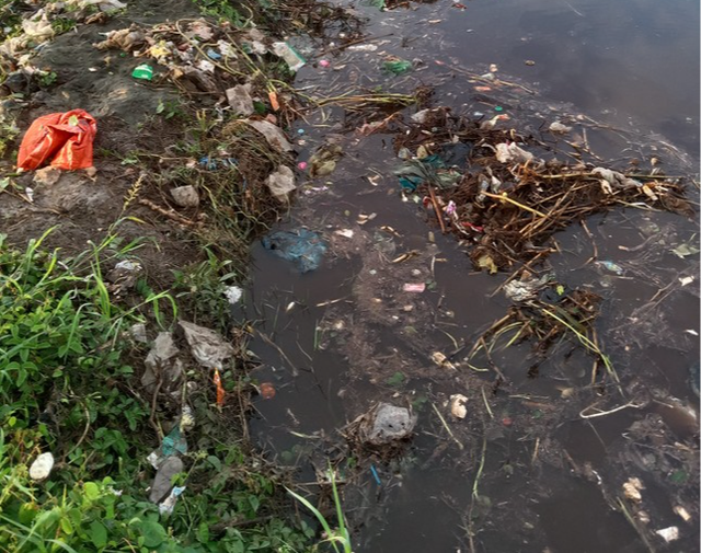 Cà Mau: Kiểm tra nước thải của Nhà máy xử lý rác thải tràn qua vuông tôm - Ảnh 1. Cà Mau: Kiểm tra nước thải của Nhà máy xử lý rác thải tràn qua vuông tôm - Ảnh 1.