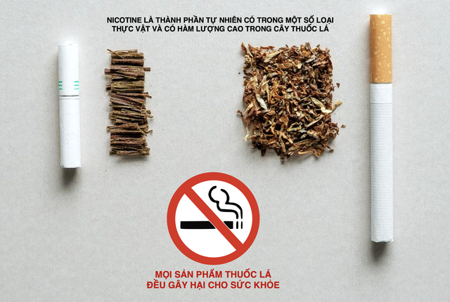 Nicotine không phải chất gây ung thư trong thuốc lá - Ảnh 2.