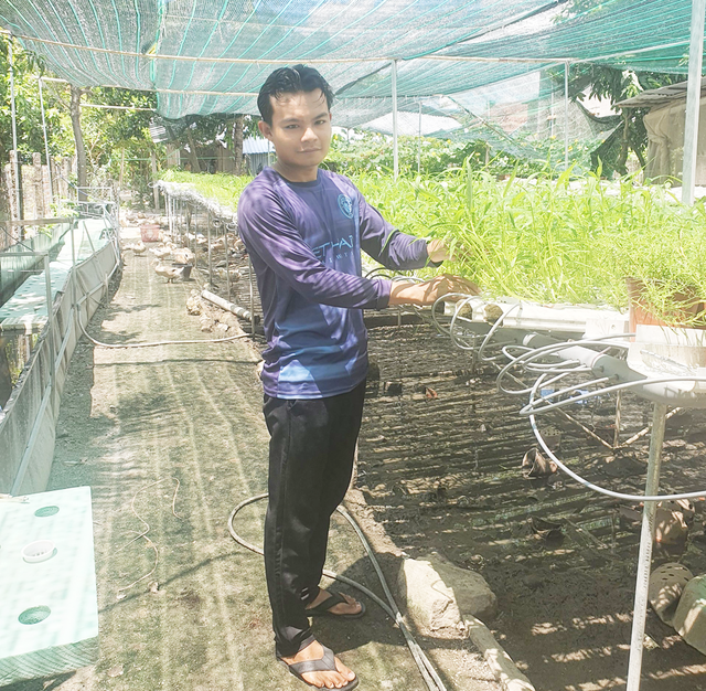 Chàng trai trồng rau thủy canh kết hợp nuôi cá trên bể bạt - Ảnh 1.