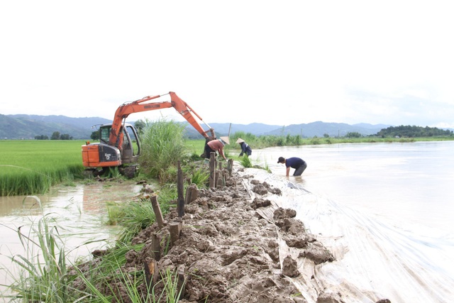 Nước lũ nhấn chìm hàng trăm ha lúa, dân dầm mình trong nước hộ đê - Ảnh 1.