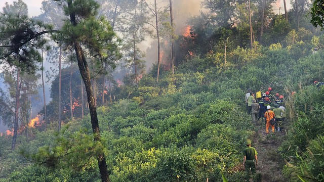 Thừa Thiên – Huế: Cháy lớn tại rừng thông đặc dựng 40 năm tuổi - Ảnh 2.