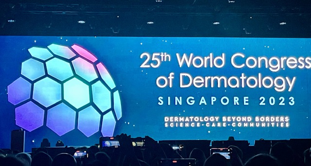 Hội nghị da liễu danh giá nhất thế giới khai mạc ở Singapore - Ảnh 1.