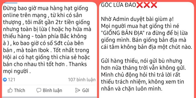 Cảnh báo lừa bán hạt giống, hoa nở hình chim hạc và mèo trên mạng - Ảnh 3.