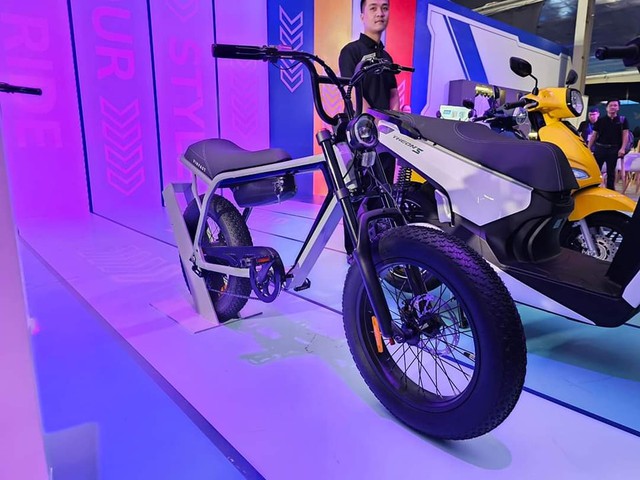 Xe đạp điện VinFast thu hút người dùng ô tô điện Việt Nam   - Ảnh 1.