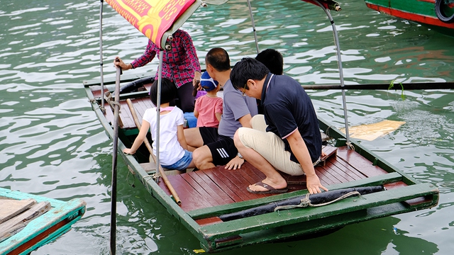 Quảng Ninh: Cấm 'hung thần đại dương' neo đậu ven bờ vịnh Hạ Long  - Ảnh 2.