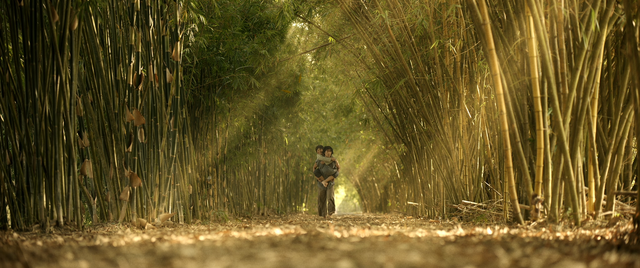 'Đất rừng phương Nam' tung teaser trailer, hé lộ dàn nhân vật chủ chốt - Ảnh 2.