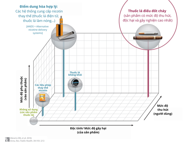 Quan điểm đối với vai trò của thuốc lá mới: theo WHO hay FDA? - Ảnh 1.