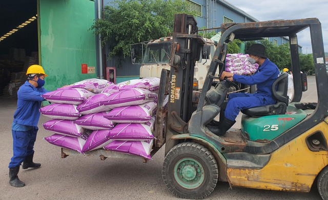 Việt Nam 'cho không' các nước số tiền thuế rất lớn?: Hàng nhập khẩu hưởng lợi kép - Ảnh 1.