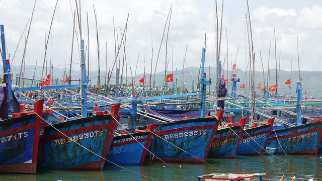 Bộ trưởng Lê Minh Hoan nêu lý do 7 năm chưa gỡ được 'thẻ vàng' IUU - Ảnh 2.