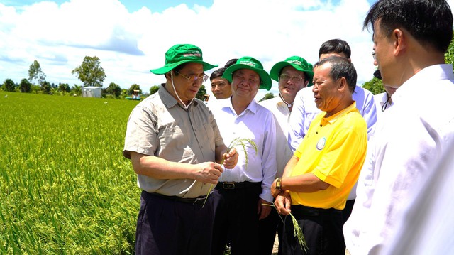 Thủ tướng đề nghị xây dựng Đồng Tháp thành hình mẫu về nông thôn hiện đại - Ảnh 2.