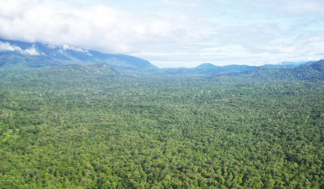 Bình Thuận: 'Đổi' hơn 600 ha rừng tự nhiên để xây dựng hồ thủy lợi Ka Pét - Ảnh 2.