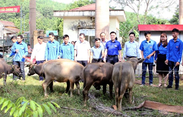 Hỗ trợ kinh phí thực hiện các dự án, mô hình giảm nghèo - Ảnh 2.