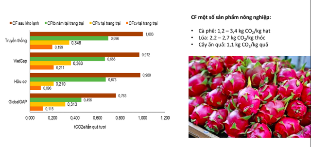 Việt Nam truy xuất phát thải carbon trên trái thanh long Bình Thuận - Ảnh 1.
