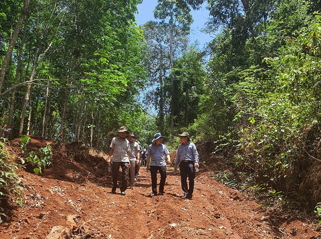 Dự án cao tốc Tân Phú – Bảo Lộc: Phải trồng rừng thay thế hơn 324 ha  - Ảnh 2.