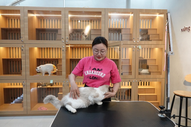 Cô gái gen Z dựng ‘khách sạn’ cho mèo, thu nhập hàng chục triệu mỗi tháng  - Ảnh 2.
