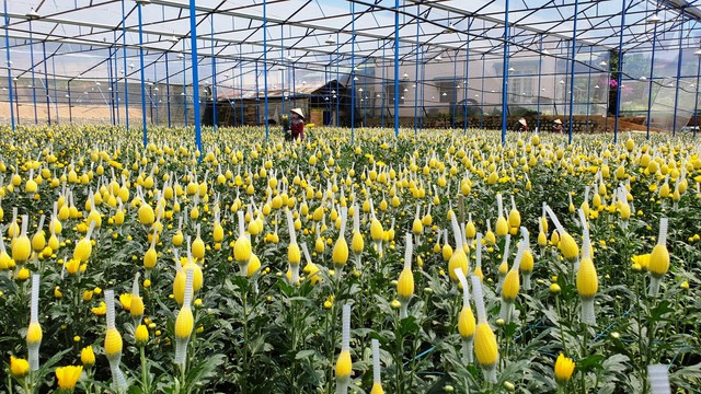 Quy định mới về điều kiện tách thửa, hợp thửa đất ở Lâm Đồng - Ảnh 5. Quy định mới về điều kiện tách thửa, hợp thửa đất ở Lâm Đồng - Ảnh 5.