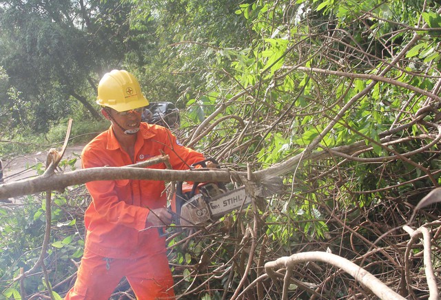 Thành viên Đội xung kích xử lý cây đổ ngã trên đường giao thông nội bộ
