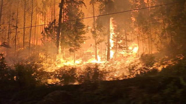 Cháy rừng nghiêm trọng lan nhanh nhiều nơi - Ảnh 1.