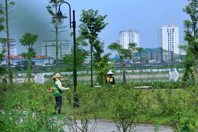 Lèo tèo hạng mục vui chơi thể thao, cây xanh trong công viên gần 750 tỉ đồng - Ảnh 5.