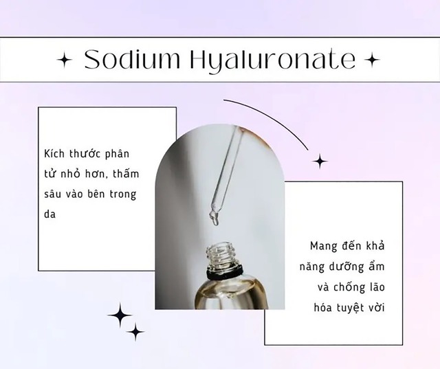 Sodium Hyaluronate là gì? Có thật sự mang lại tác dụng dương âm, làm đầy nếp nhăn? - Ảnh 2.
