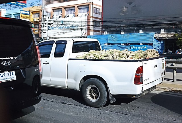 Sử dụng xe b&aacute;n tải: Kh&aacute;c biệt giữa người Th&aacute;i v&agrave; người Việt - Ảnh 2.