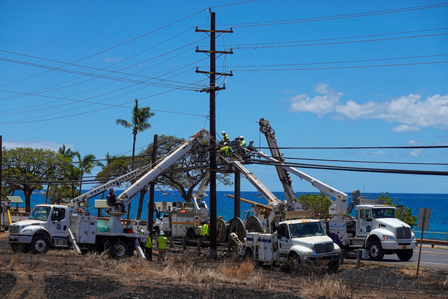 Công ty điện lực bị kiện vì thảm họa cháy rừng ở Hawaii - Ảnh 1.