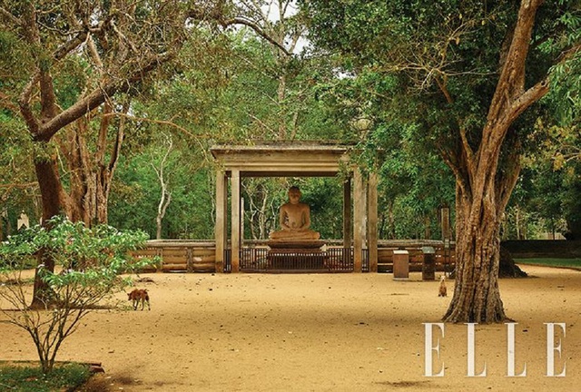 Sri Lanka - điểm đến du lịch được nhiều người lựa chọn sau đại dịch - Ảnh 10.