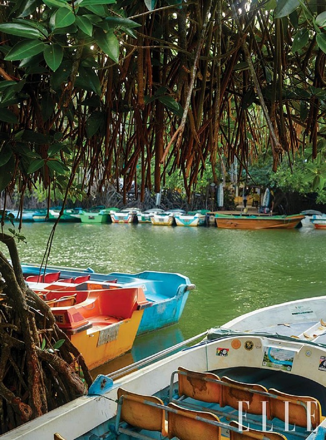 Sri Lanka - điểm đến du lịch được nhiều người lựa chọn sau đại dịch - Ảnh 5.