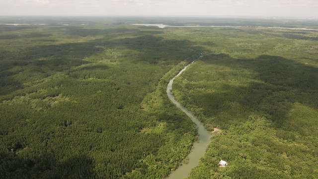 Du lịch sinh thái Cần Giờ hướng tới 500.000 khách mỗi năm - Ảnh 2.