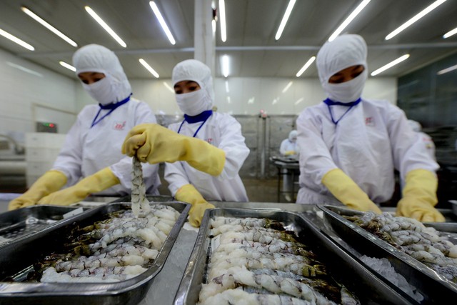 Tận dụng cơ hội xuất khẩu tôm, cá sang Trung Quốc  - Ảnh 1.