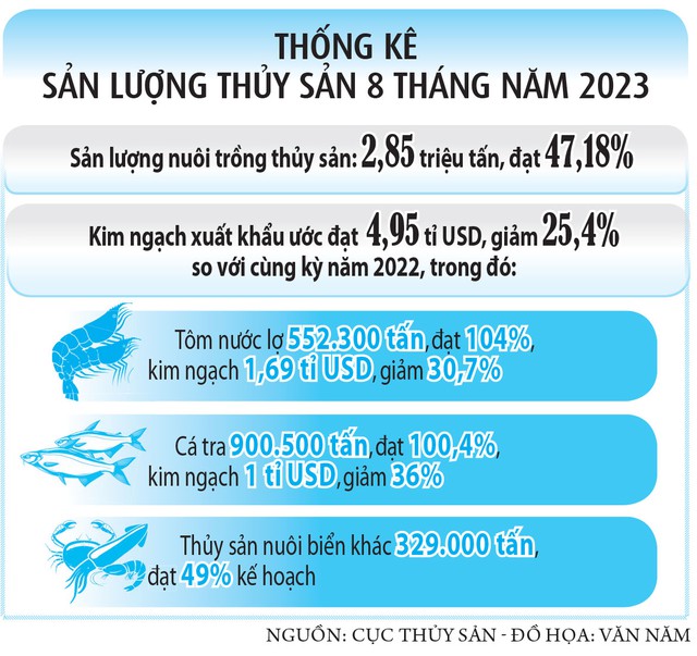 Tận dụng cơ hội xuất khẩu tôm, cá sang Trung Quốc  - Ảnh 3.