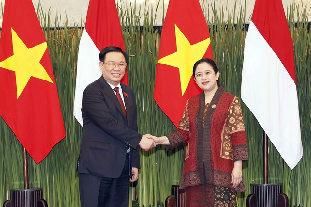 Cơ hội để Việt Nam - Indonesia tăng cường quan hệ song phương - Ảnh 1.