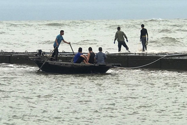 Hải Phòng: Tàu cá Quảng Ninh gặp nạn do đâm vào đê biển “ngầm” chắn sóng - Ảnh 1.