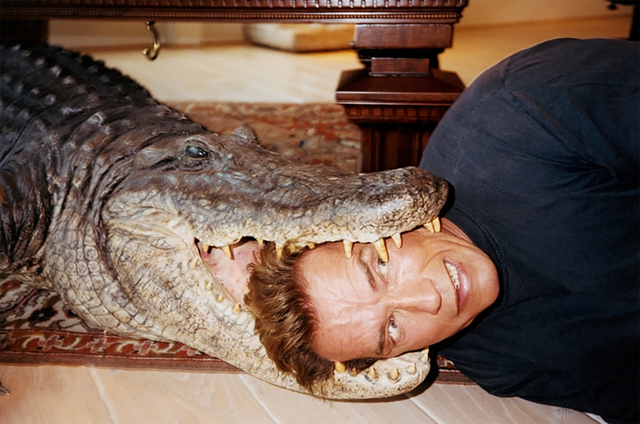 Cuộc đời ngôi sao Hollywood Arnold Schwarzenegger qua những bức ảnh độc lạ - Ảnh 10.