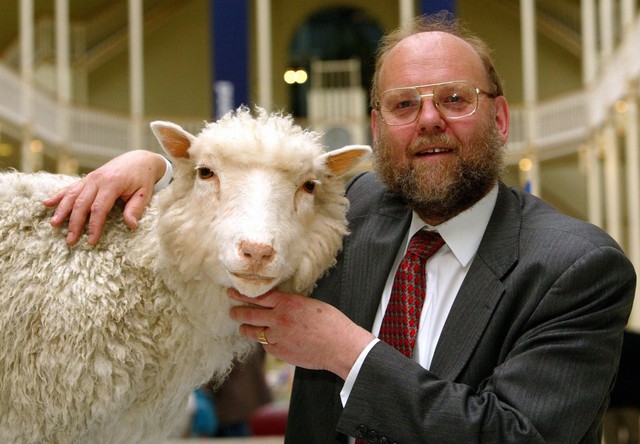 'Cha đẻ' cừu nhân bản vô tính Dolly qua đời ở tuổi 79 - Ảnh 1.