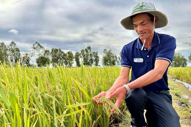 ‘Canh tác bền vững hướng đến tương lai’ giúp nhà nông tiết kiệm 40% chi phí - Ảnh 1.