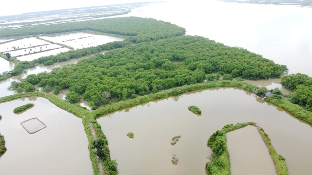 UBND tỉnh TháiBình quyết định thu hẹp khu bảo tồn dù chưa rõ vị trí, quy mô - Ảnh 1.