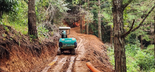 Tự ý san ủi đất mở đường xuyên rừng trong KDL quốc gia hồ Tuyền Lâm - Ảnh 3.