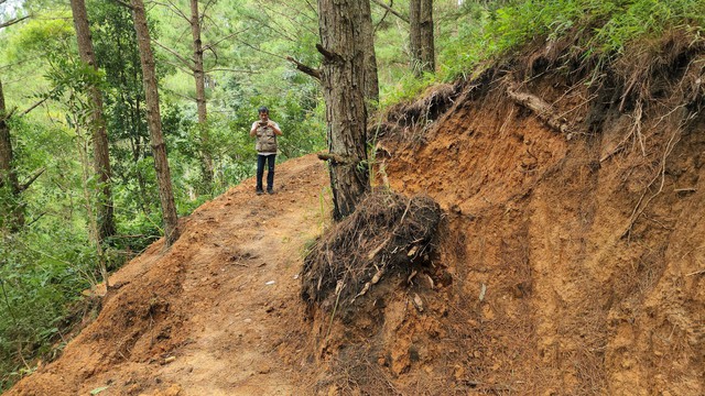 Tự ý san ủi đất mở đường xuyên rừng trong KDL quốc gia hồ Tuyền Lâm - Ảnh 1.