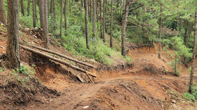 Tự ý san ủi đất mở đường xuyên rừng trong KDL quốc gia hồ Tuyền Lâm - Ảnh 5.